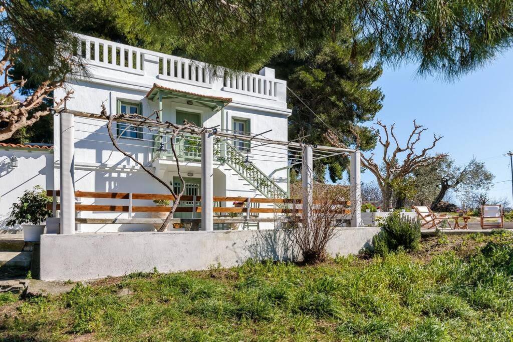 Villa Ambeli سكوبيلوس تاون المظهر الخارجي الصورة