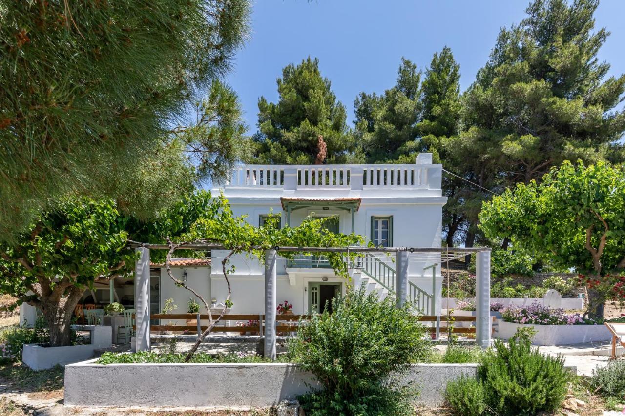 Villa Ambeli سكوبيلوس تاون المظهر الخارجي الصورة