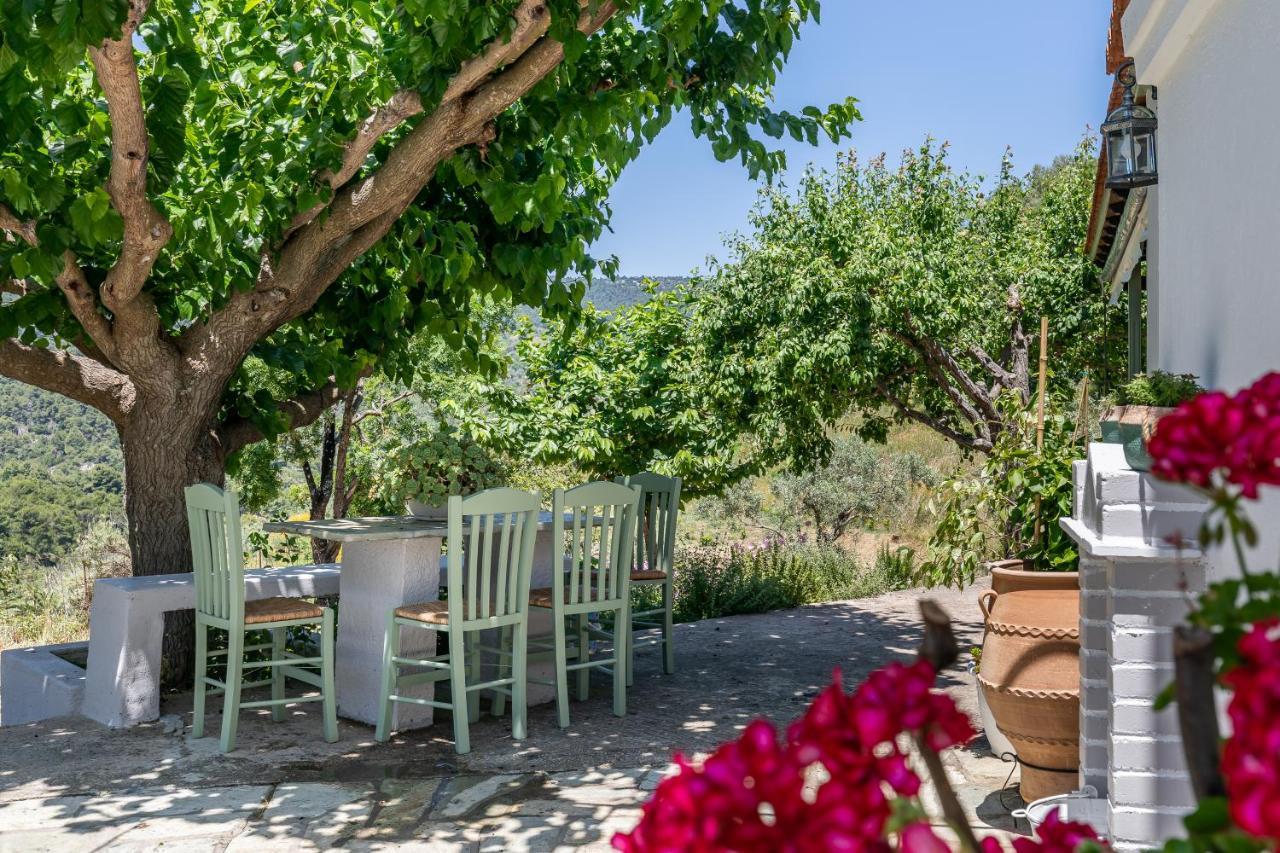 Villa Ambeli سكوبيلوس تاون المظهر الخارجي الصورة